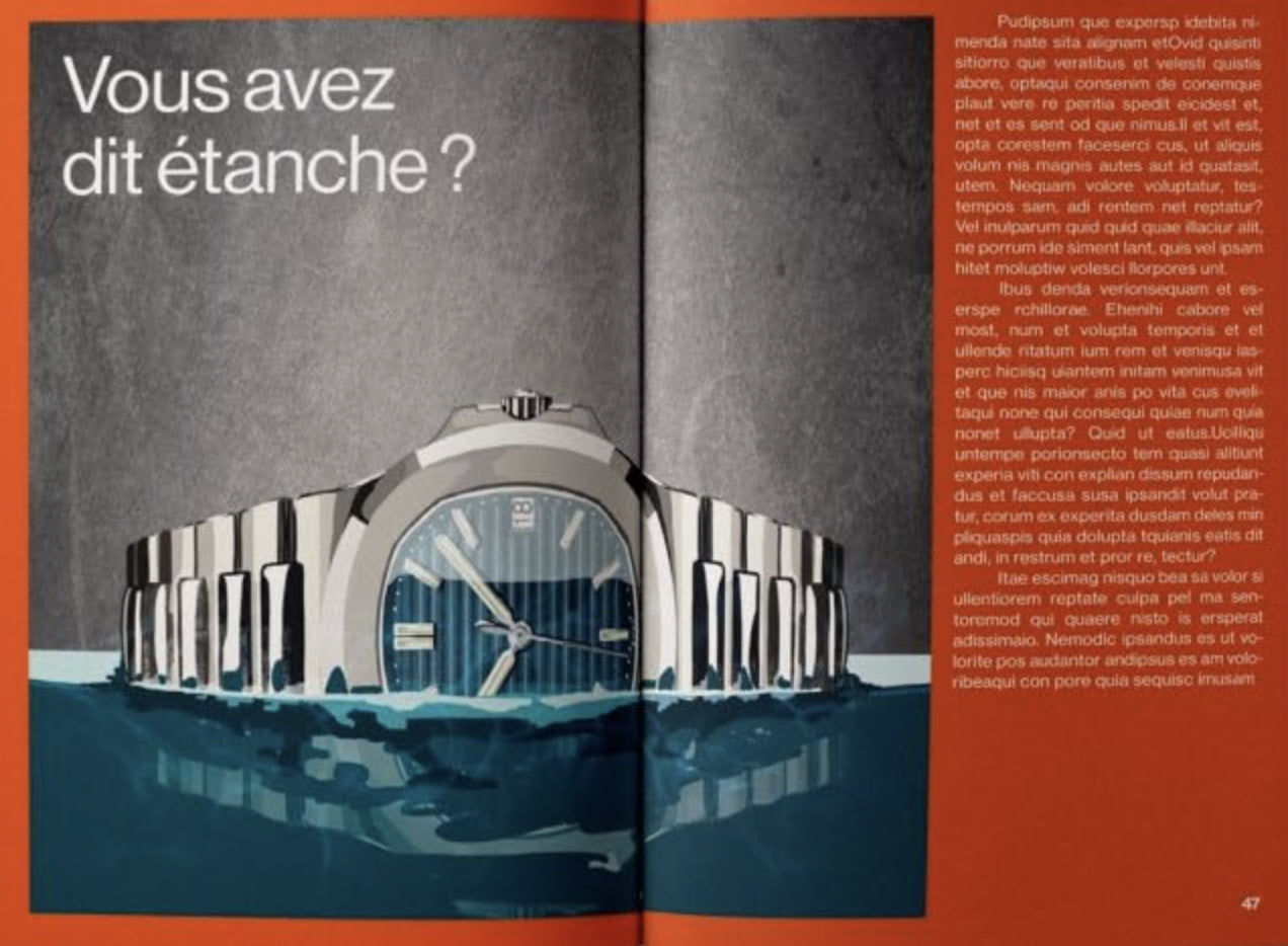 Le guide des montres vintage (French Book)